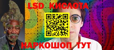 дживик Гай