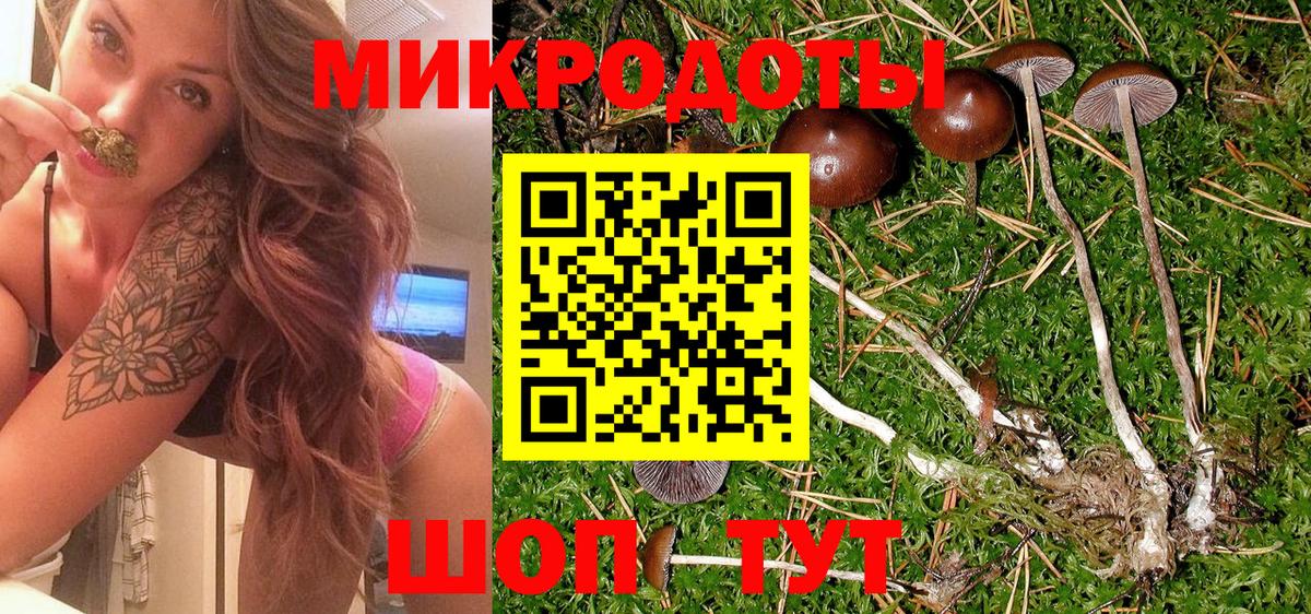 Псилоцибиновые грибы Cubensis Гурьевск