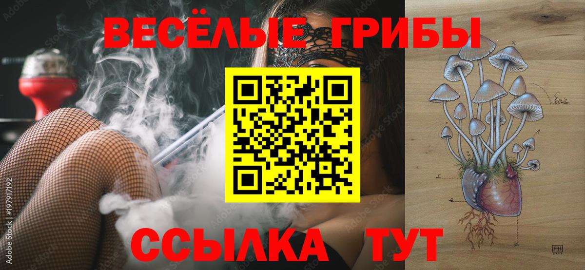 Псилоцибиновые грибы Psilocybe  Гурьевск 