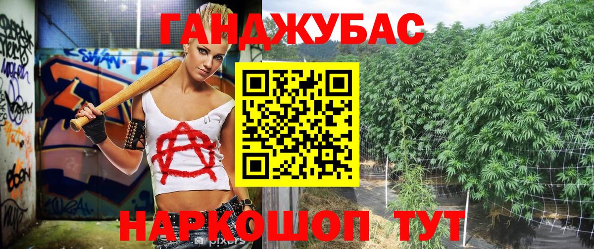 Конопля гибрид Гурьевск